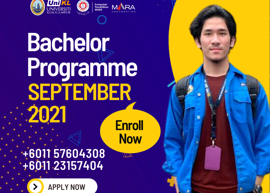 Bachelor Programme